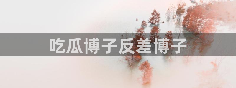 各种网红爆料吃瓜