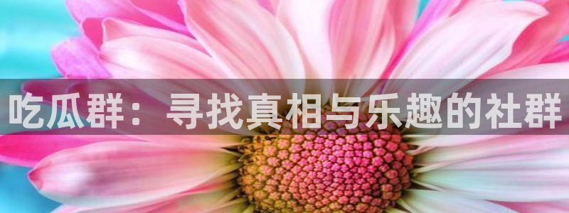 51cg1.ct吃瓜张津瑜：吃瓜群：寻找真相与乐趣的社群