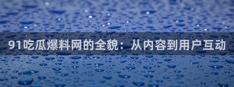 51吃瓜全网更新最快：91吃瓜爆料网的全貌：从内容到用户互动