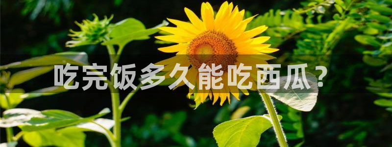 吃瓜网是全网更新最快：吃完饭多久能吃西瓜？