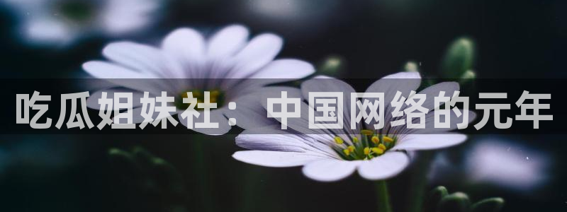 51cg每日吃瓜：吃瓜姐妹社：中国网络的元年