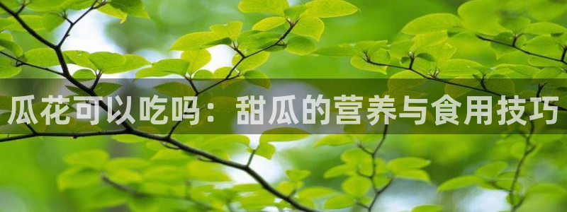 吃瓜后嗓子痒怎么回事:瓜花可以吃吗:甜瓜的营养与食用技巧
