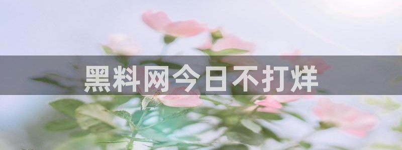 黑料.：黑料网今日不打烊