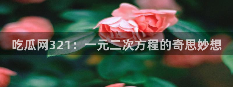 吃瓜吃到自己的死讯：吃瓜网321：一元二次方程的奇思妙想